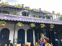 -Sirena海妖日咖夜酒