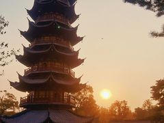 -龙华寺