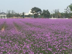 -渔岛海洋度假区