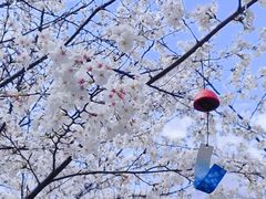 -南京外国语学校(仙林分校西区)