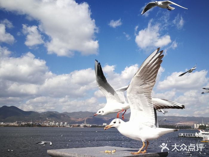 海埂大坝图片