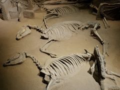 -洛阳周王城天子驾六博物馆