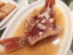 红星斑-东方明珠老上海8号餐厅(东方明珠广播电视塔店)