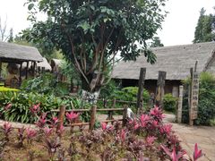 -云南民族村