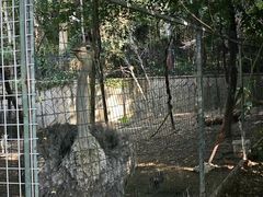 -厦门悦华酒店
