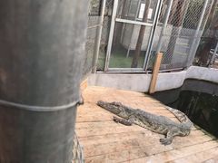 -呀路古热带植物园
