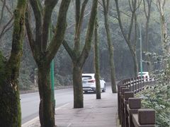 -潜山国家森林公园