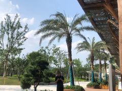 -杭州开元森泊度假乐园