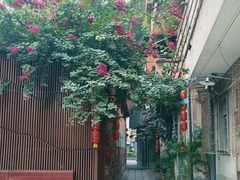 -荔湾湖公园