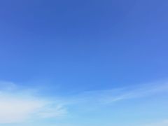 -北海金海湾红树林生态旅游区