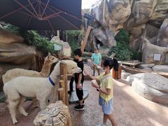 -杭州开元森泊度假乐园