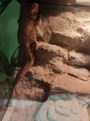 -酷嗒动物文化乐园(cutezoo西溪乐天城店)