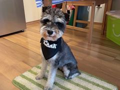 -三兄弟高炉烧饼