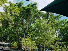 -星巴克(深圳侨城街店)