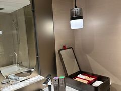 -新加坡瑞士史丹福酒店