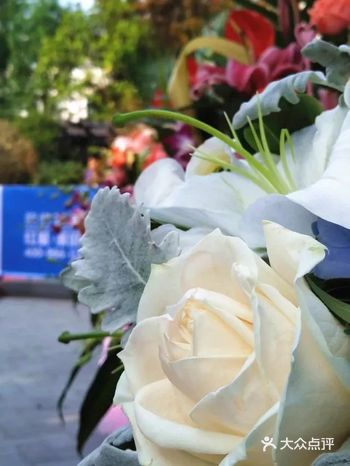 800㎡宝华 · 海尚郡领独墅开工大吉