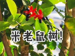 -北京植物园-展览温室