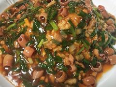 -鲁前海沿儿