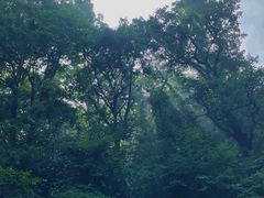 -终南山南五台景区