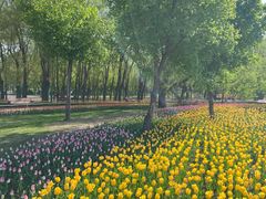 -长春公园(普阳街道)