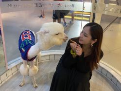 -Moni星球萌宠·小马宝莉·灵蛇·高端高阶全萌宠互动体验俱乐部(红豆国际广场店)