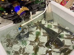 -九妹农家大铁锅东北菜(江湾店)