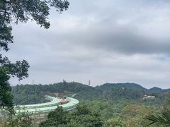 -深圳仙湖植物园-停车场