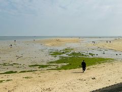 -北海金海湾红树林生态旅游区