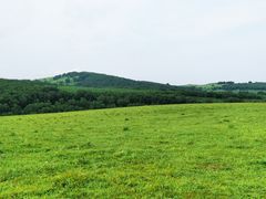 -塞罕坝国家级自然保护区