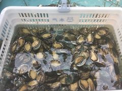 -盒马鲜生(宝地店)