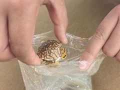 -青岛银沙滩