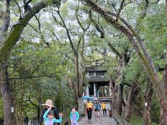 -溪口-滕头旅游景区