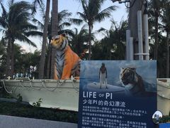 -白沙湾海滩