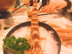 -鲜入围煮花胶鸡海鲜火锅