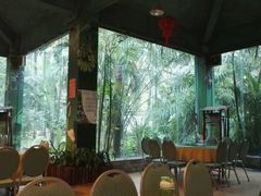 -火烈鸟餐厅