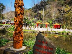 -桂林古东瀑布景区
