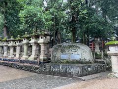 -奈良公园