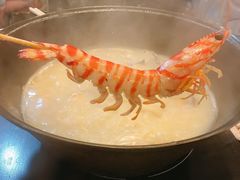 -鲜入围煮花胶鸡海鲜火锅