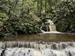 -青峰峡国家森林公园