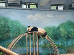 -杭州动物园