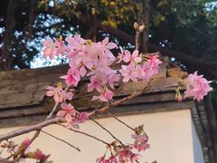 -乌山风景区