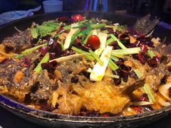 -老板恋上鱼(恒隆广场店)