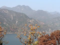 -北京中信金陵酒店