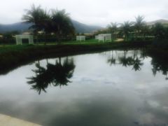 -亚龙湾国际玫瑰谷