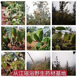 -御品•瑶浴灸疗SPA