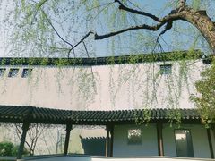 -秋霞圃