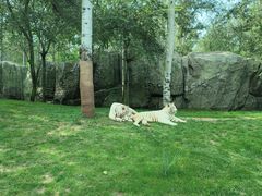 -北京野生动物园