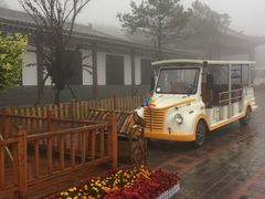 -铜川市金锁关石林
