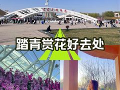 -石家庄市植物园