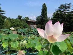 -国家植物园南园